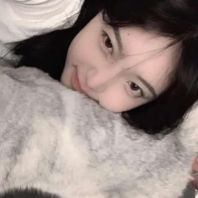 我可能不会爱你